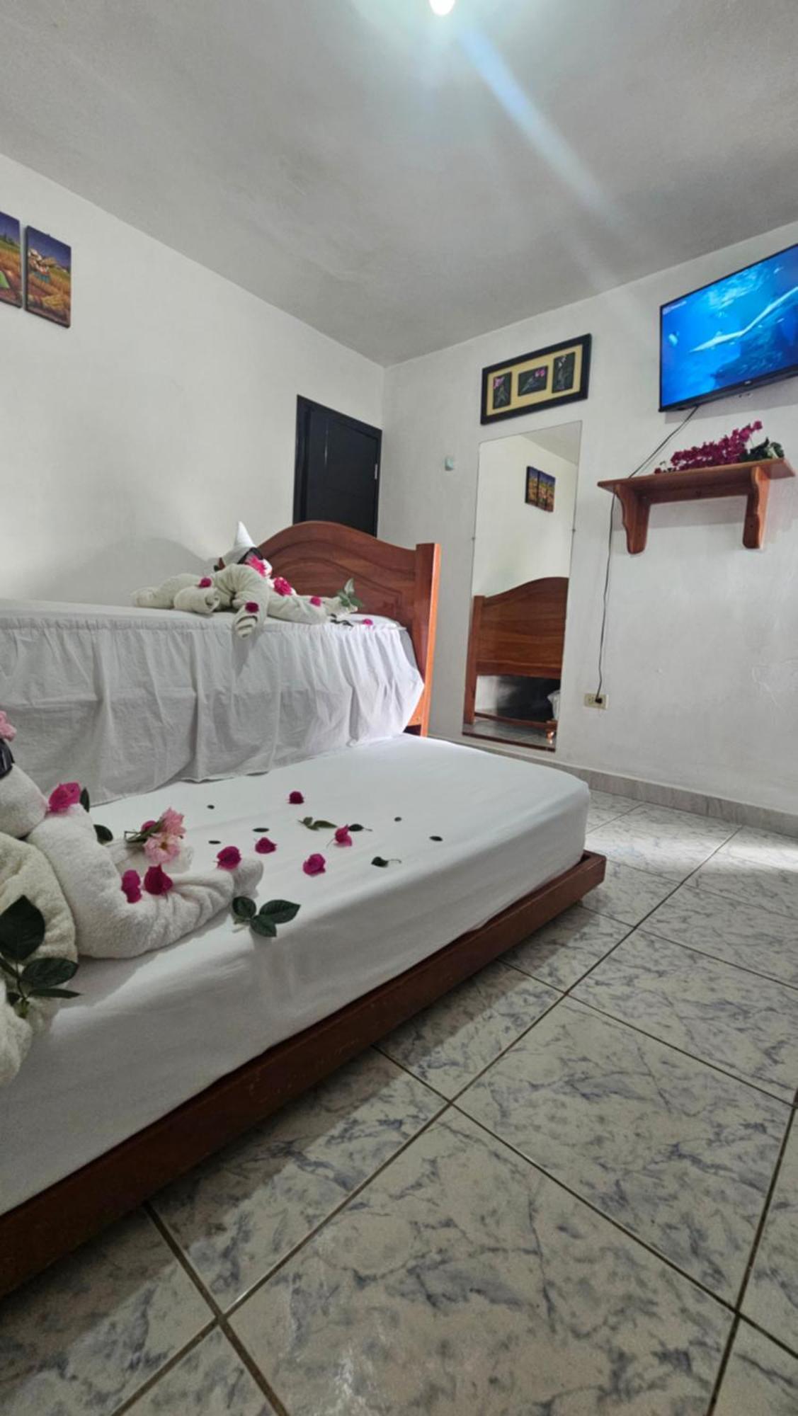 Flor'S House Daire San Cristóbal Dış mekan fotoğraf