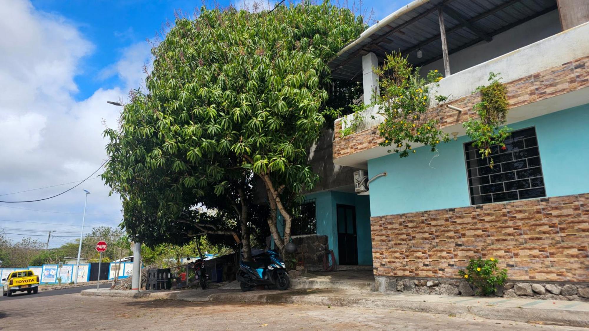 Flor'S House Daire San Cristóbal Dış mekan fotoğraf